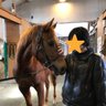 しゅ~🐴競馬予想😎✨(たまに競輪予想)&奈々クラオタク🎤's profile picture