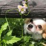 ウッチー's profile picture