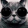 Chachi's profile picture