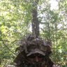 Shane's profile picture