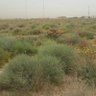 Фото профиля ابوسالم