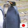 ひろぽん六四天安門 的头像