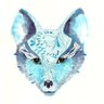 Фото профиля bluefoxx