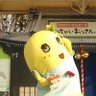 いずちゃん profil fotoğrafı
