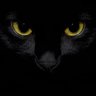 Фото профиля DarkCat