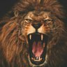 TheLionKing 的头像