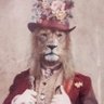 Dandy Lion profil fotoğrafı