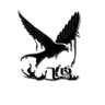 飞鸟's profile picture