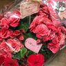 SONAR POKET LOVE//chikako profil fotoğrafı