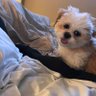 Teddy Cohen's profile picture
