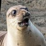 YMF's profile picture