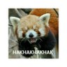 Profilbild von _