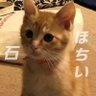 クリスタルポケット profil fotoğrafı