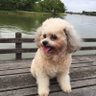 tao's profile picture