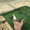 ياسر العتيبي profil fotoğrafı