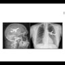 Фото профиля كويتي عنصري
