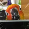 Plus2 profil fotoğrafı