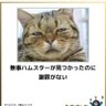 Profilbild von ウンコ・モレソデフ