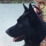 Terri Kompare profil fotoğrafı