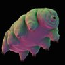 pan's profile picture
