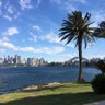 wsaralou63's profile picture