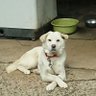 クウネルサンダース 的头像