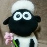 Profilbild von みにどん