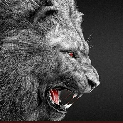 sedatkcan's profile picture