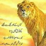 Anjum islam pmln's profile picture