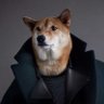 weiwujiu's profile picture