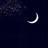 Maryam Mohammad's profile picture