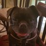 RubiB's profile picture