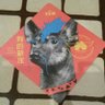 Perrito punk (Lucho)'s profile picture