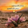 ahmed habib 的头像