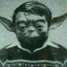 The Bad News Bearer's profile picture