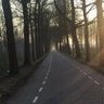 Profilbild von mand_78