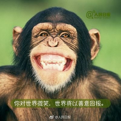 dacefupan's profile picture