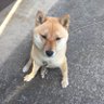 まな's profile picture