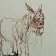 Eeyore was the cheerful one in the family.'s profile picture