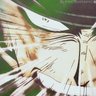 Фото профиля LovesTransformers.
