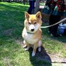 ハマケン@山陰暴威🔰 profil fotoğrafı