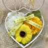 Profilbild von たかloveてぃーちゃー