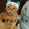 Фото профиля 生活訓練からやり直せ!