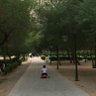 Фото профиля ابويوسف الحربي
