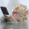 TheLeo 🦁's profile picture