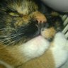 Profilbild von Benita Regardso aka catniss