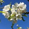 Фото профиля HockleyBear