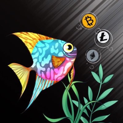 bitfish's profile picture