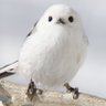 夜鷹 profil fotoğrafı