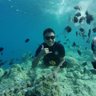 Mario Giri Putra Sukerta's profile picture